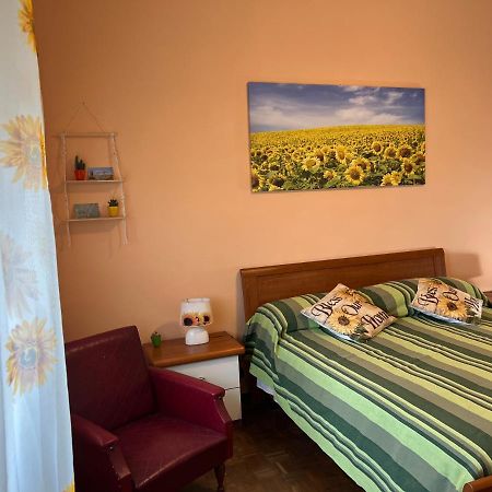 Vicino A Tutto Panzió Vercelli Kültér fotó